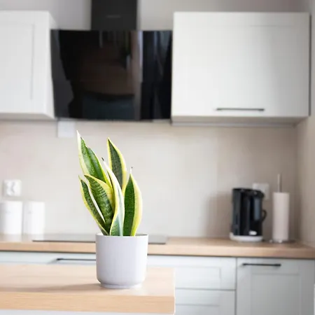 Nr 12 Apartment *